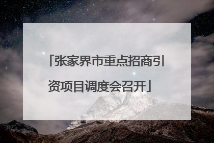 张家界市重点招商引资项目调度会召开