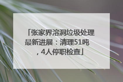 张家界溶洞垃圾处理最新进展：清理51吨，4人停职检查