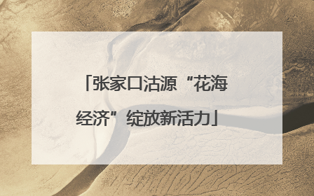张家口沽源“花海经济”绽放新活力