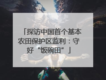 探访中国首个基本农田保护区监利：守好“饭碗田”