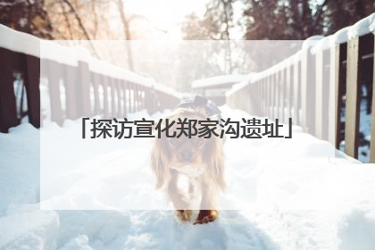 探访宣化郑家沟遗址