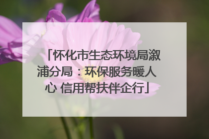 怀化市生态环境局溆浦分局：环保服务暖人心 信用帮扶伴企行