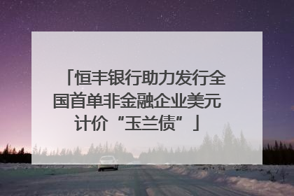 恒丰银行助力发行全国首单非金融企业美元计价“玉兰债”