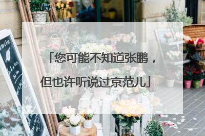 您可能不知道张鹏，但也许听说过京范儿