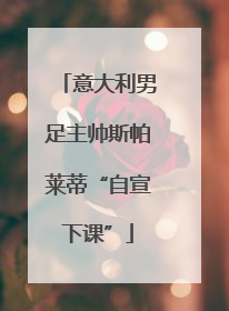 意大利男足主帅斯帕莱蒂“自宣下课”