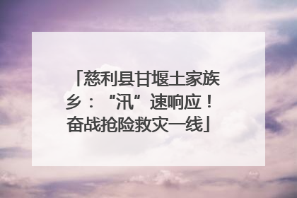 慈利县甘堰土家族乡：“汛”速响应！奋战抢险救灾一线