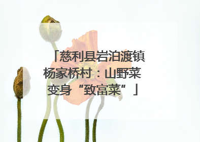 慈利县岩泊渡镇杨家桥村：山野菜变身“致富菜”