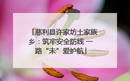 慈利县许家坊土家族乡：筑牢安全防线 一路“未”爱护航
