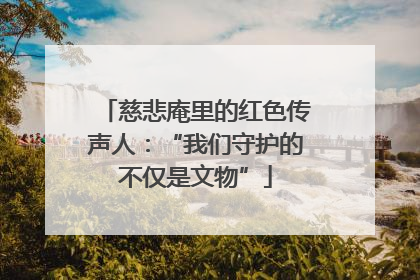 慈悲庵里的红色传声人：“我们守护的不仅是文物”