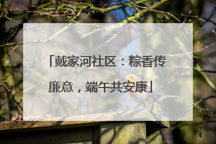 戴家河社区：粽香传廉意，端午共安康