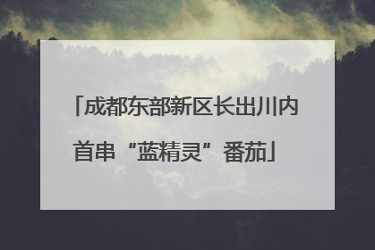 成都东部新区长出川内首串“蓝精灵”番茄