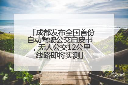 成都发布全国首份自动驾驶公交白皮书，无人公交12公里线路即将实测