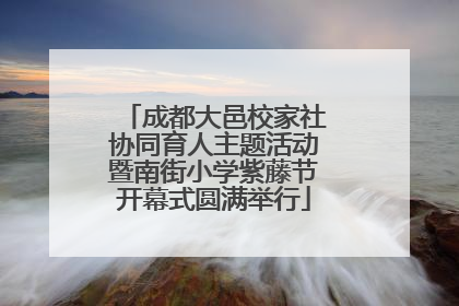 成都大邑校家社协同育人主题活动暨南街小学紫藤节开幕式圆满举行