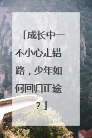 成长中一不小心走错路，少年如何回归正途？