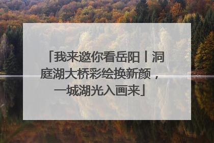 我来邀你看岳阳丨洞庭湖大桥彩绘换新颜，一城湖光入画来