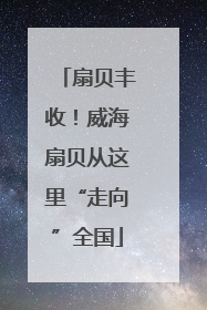 扇贝丰收！威海扇贝从这里“走向”全国
