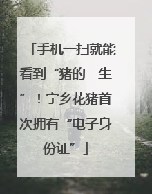 手机一扫就能看到“猪的一生”！宁乡花猪首次拥有“电子身份证”
