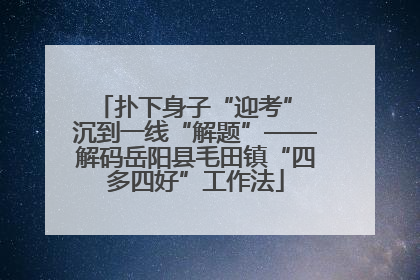 扑下身子“迎考” 沉到一线“解题”——解码岳阳县毛田镇“四多四好”工作法