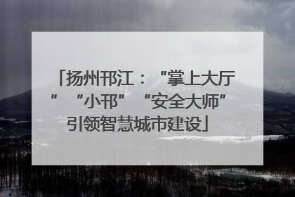 扬州邗江：“掌上大厅”“小邗”“安全大师”引领智慧城市建设