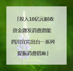 投入10亿元财政资金激发消费潜能 四川宜宾出台一系列提振消费措施