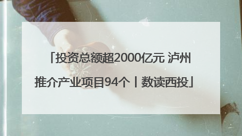 投资总额超2000亿元 泸州推介产业项目94个丨数读西投