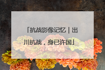 抗战影像记忆｜出川抗战，身已许国