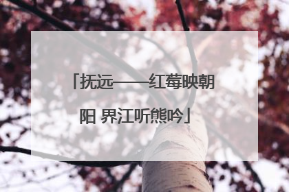抚远——红莓映朝阳 界江听熊吟