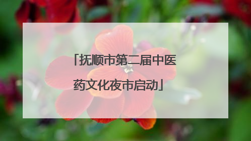 抚顺市第二届中医药文化夜市启动