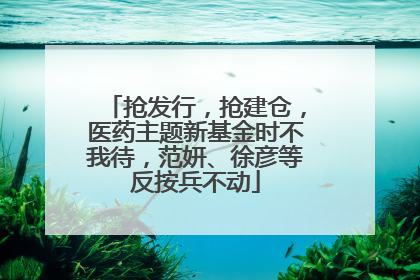 抢发行，抢建仓，医药主题新基金时不我待，范妍、徐彦等反按兵不动