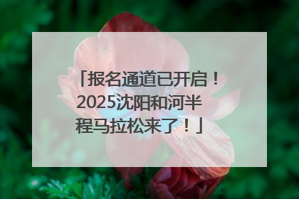 报名通道已开启！2025沈阳和河半程马拉松来了！