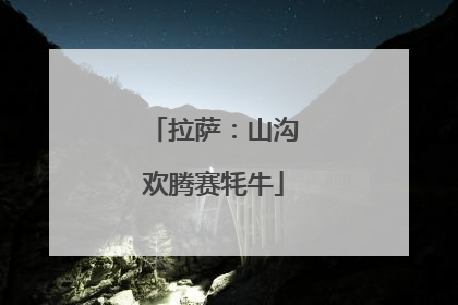 拉萨：山沟欢腾赛牦牛