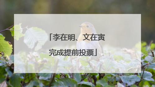 李在明、文在寅完成提前投票