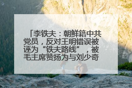 李铁夫：朝鲜籍中共党员，反对王明错误被诬为“铁夫路线”，被毛主席赞扬为与刘少奇并列的正确路线代表