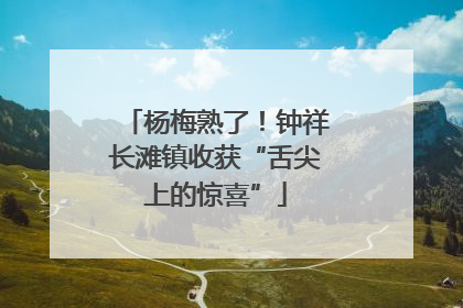 杨梅熟了！钟祥长滩镇收获“舌尖上的惊喜”