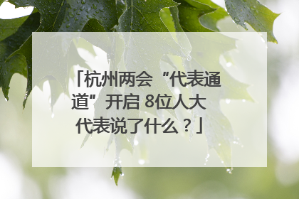 杭州两会“代表通道”开启 8位人大代表说了什么？