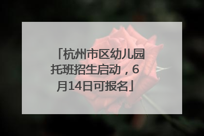 杭州市区幼儿园托班招生启动，6月14日可报名