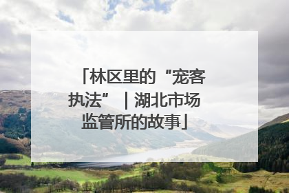 林区里的“宠客执法”｜湖北市场监管所的故事