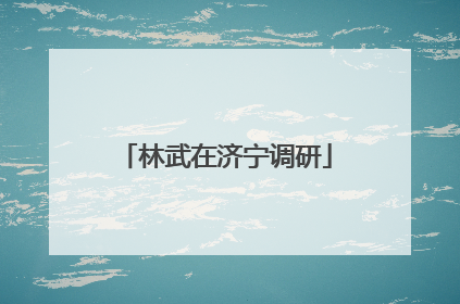 林武在济宁调研