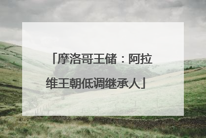 摩洛哥王储：阿拉维王朝低调继承人