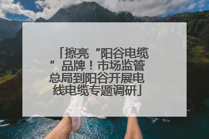 擦亮“阳谷电缆”品牌！市场监管总局到阳谷开展电线电缆专题调研
