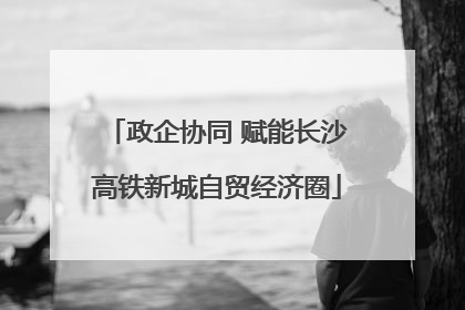 政企协同 赋能长沙高铁新城自贸经济圈