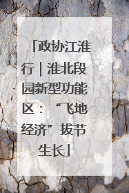政协江淮行｜淮北段园新型功能区：“飞地经济”拔节生长