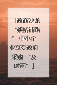 政商沙龙“架桥铺路” 中小企业享受政府采购 “及时雨”