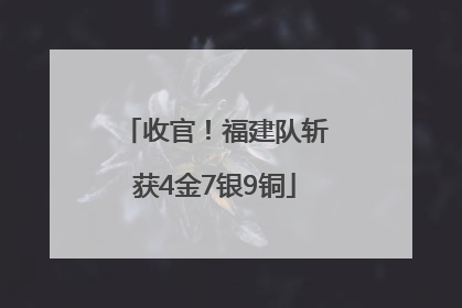 收官！福建队斩获4金7银9铜