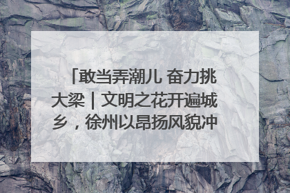 敢当弄潮儿 奋力挑大梁｜文明之花开遍城乡，徐州以昂扬风貌冲刺“万亿之城”