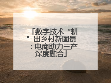 数字技术“耕”出乡村新图景：电商助力三产深度融合
