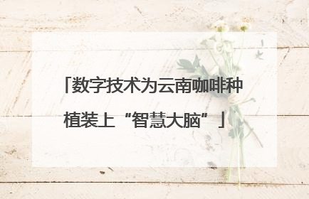 数字技术为云南咖啡种植装上“智慧大脑”