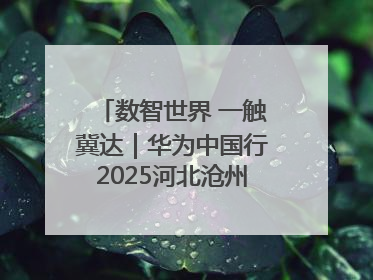 数智世界 一触冀达｜华为中国行2025河北沧州新质生产力峰会成功举办