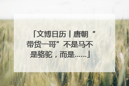 文博日历丨唐朝“带货一哥”不是马不是骆驼，而是……