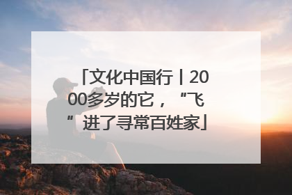 文化中国行丨2000多岁的它，“飞”进了寻常百姓家